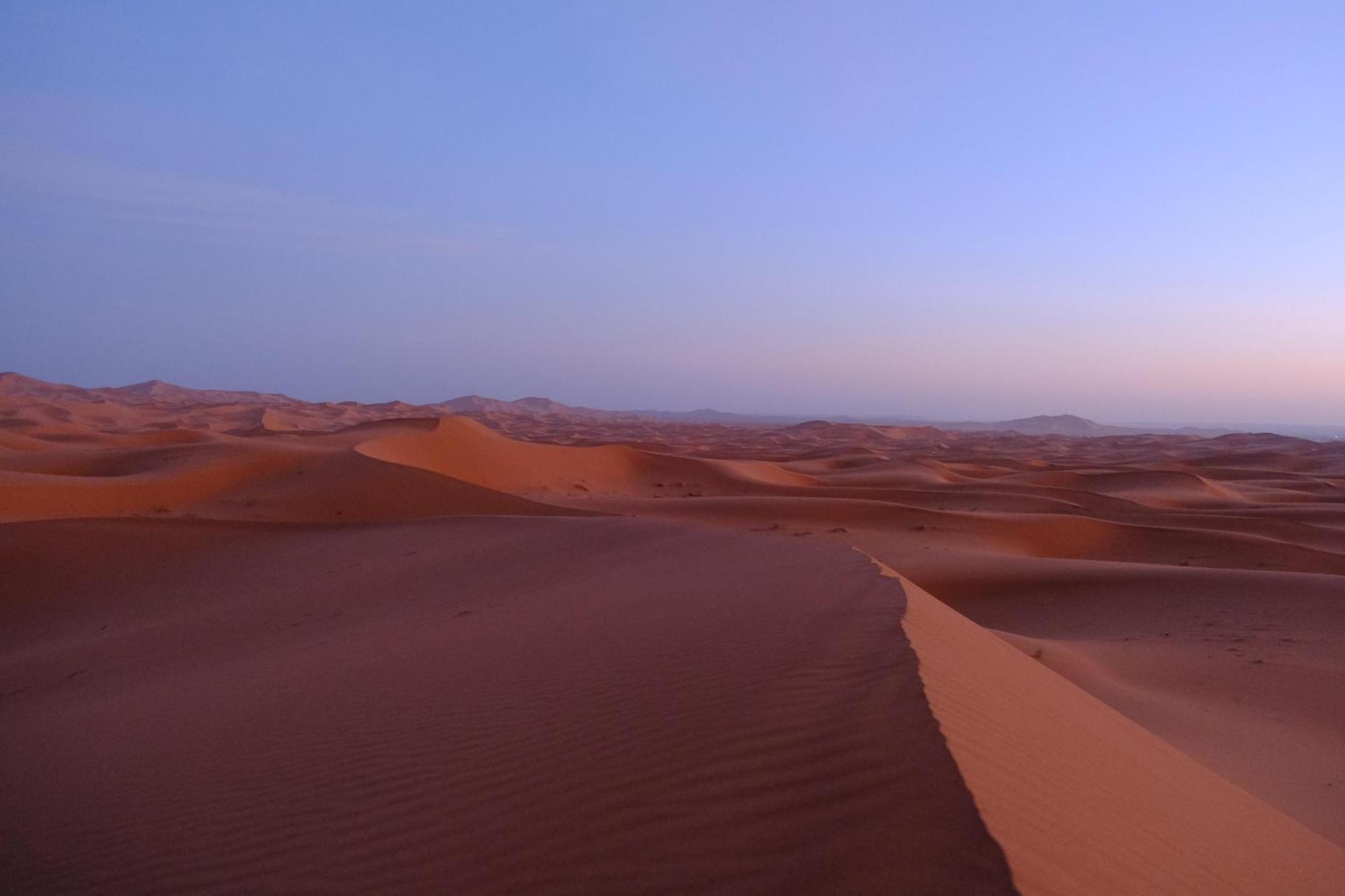 Maison Merzouga Guest House Exteriör bild